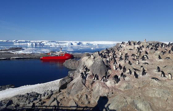 Astrolabe en terre Adélie