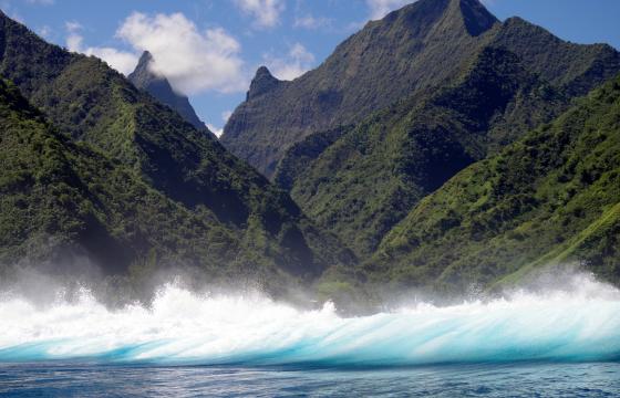 Vignette - Teahupoo 